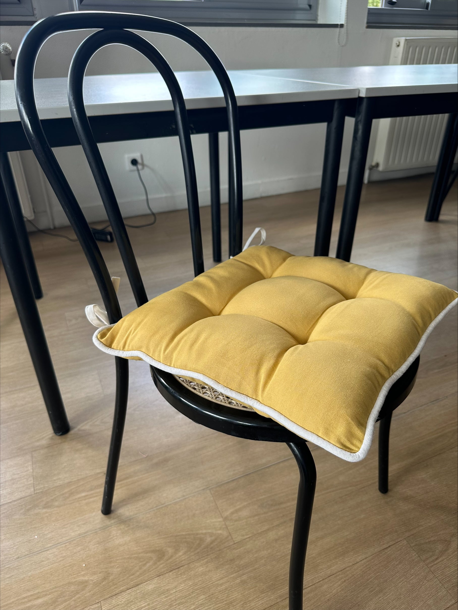 2 coussins de chaise Coussins de chaise unis