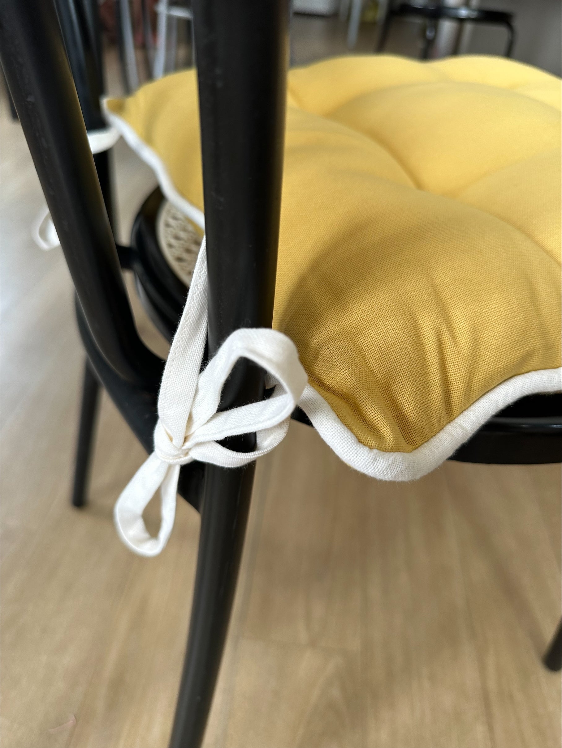 2 coussins de chaise Coussins de chaise unis