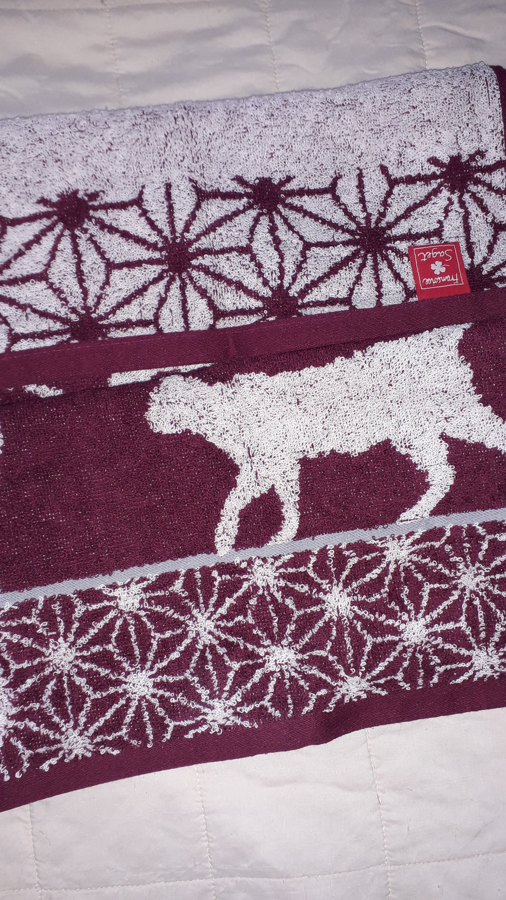 SERVIETTE DE BAIN MOTIF CHAT + 2 GANTS