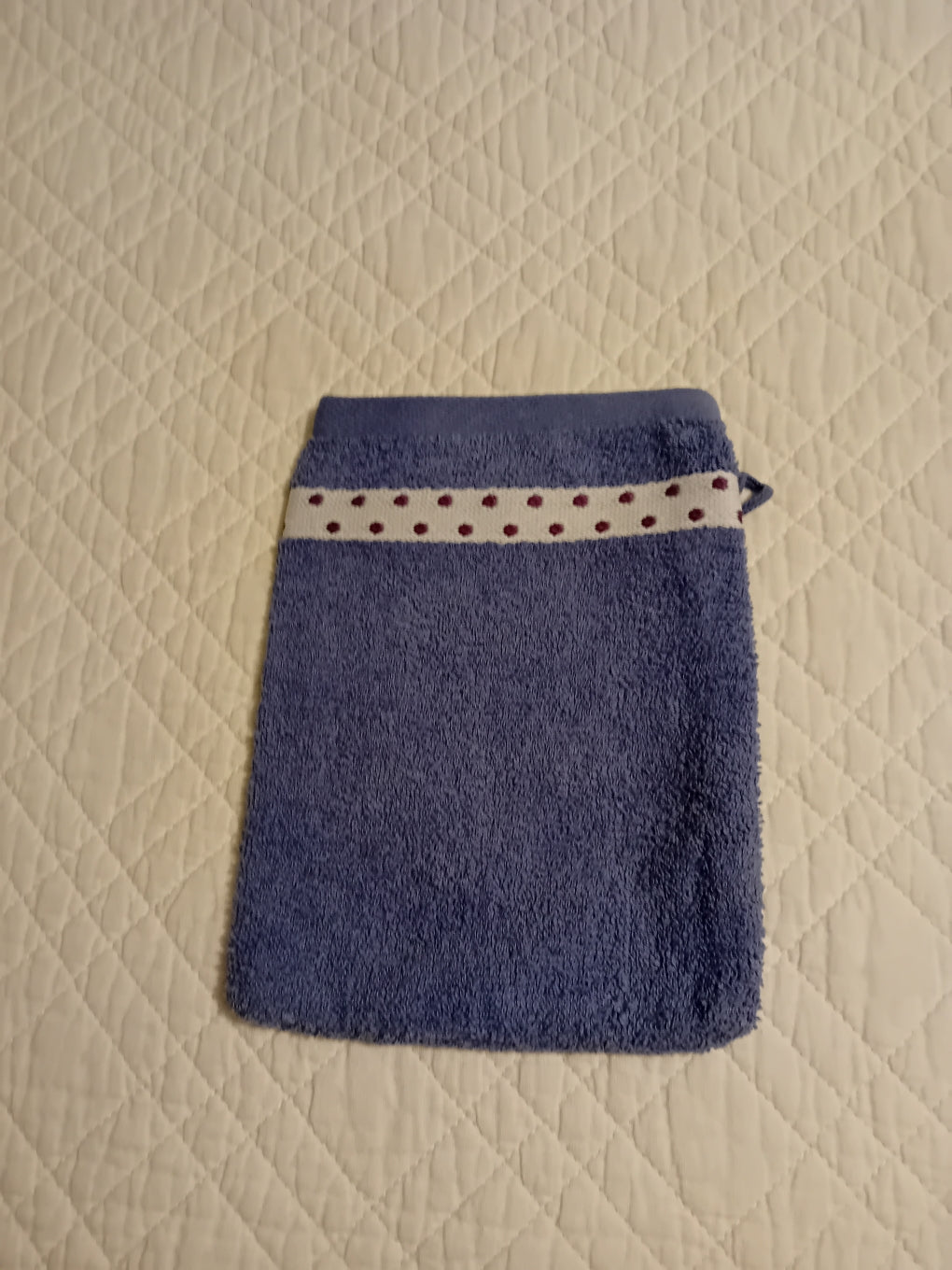 Gant de Toilette Chat