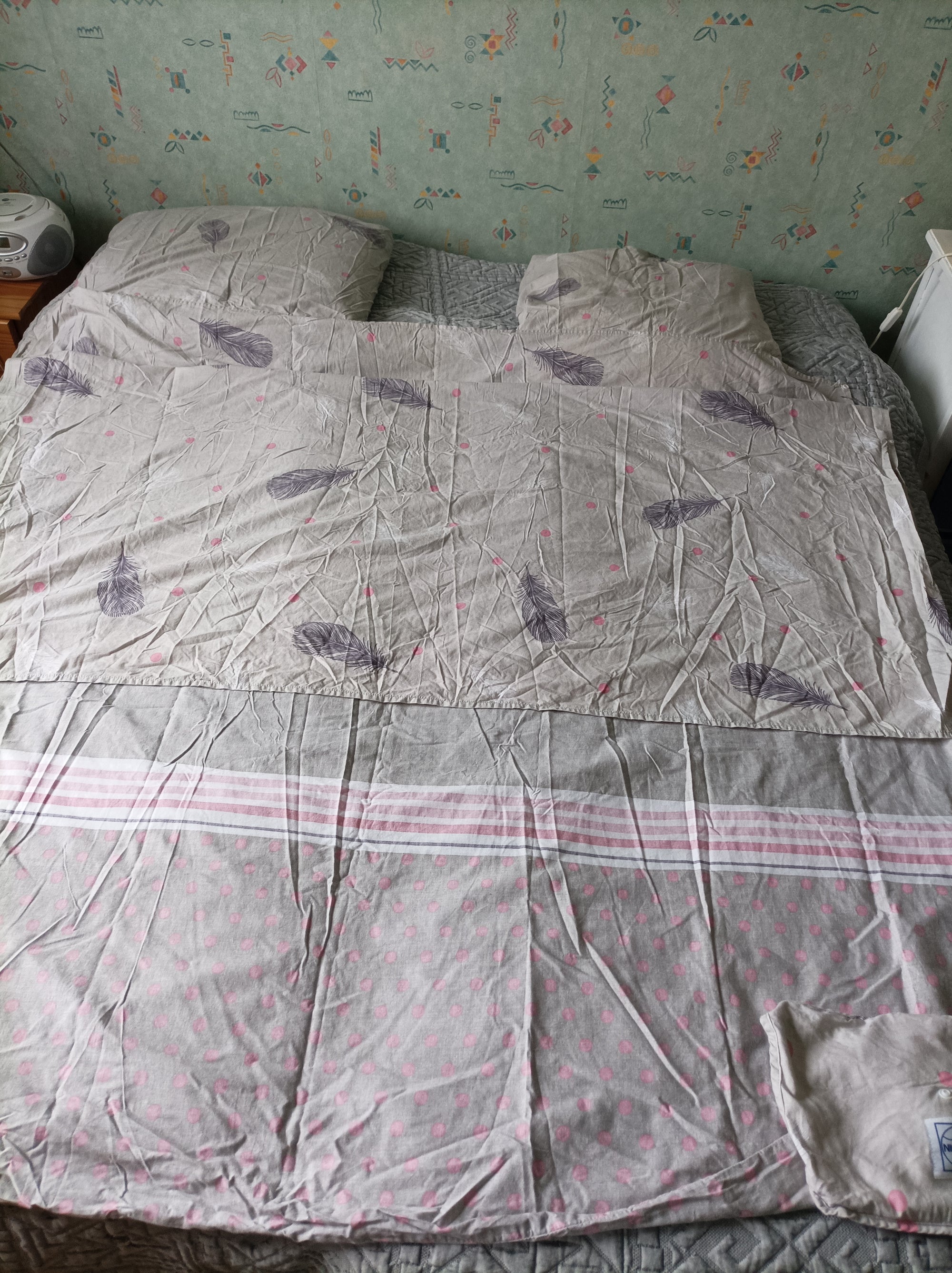 NIGHT BAG  2 personnes 166x 225 Motif Plumes, Rose et gris