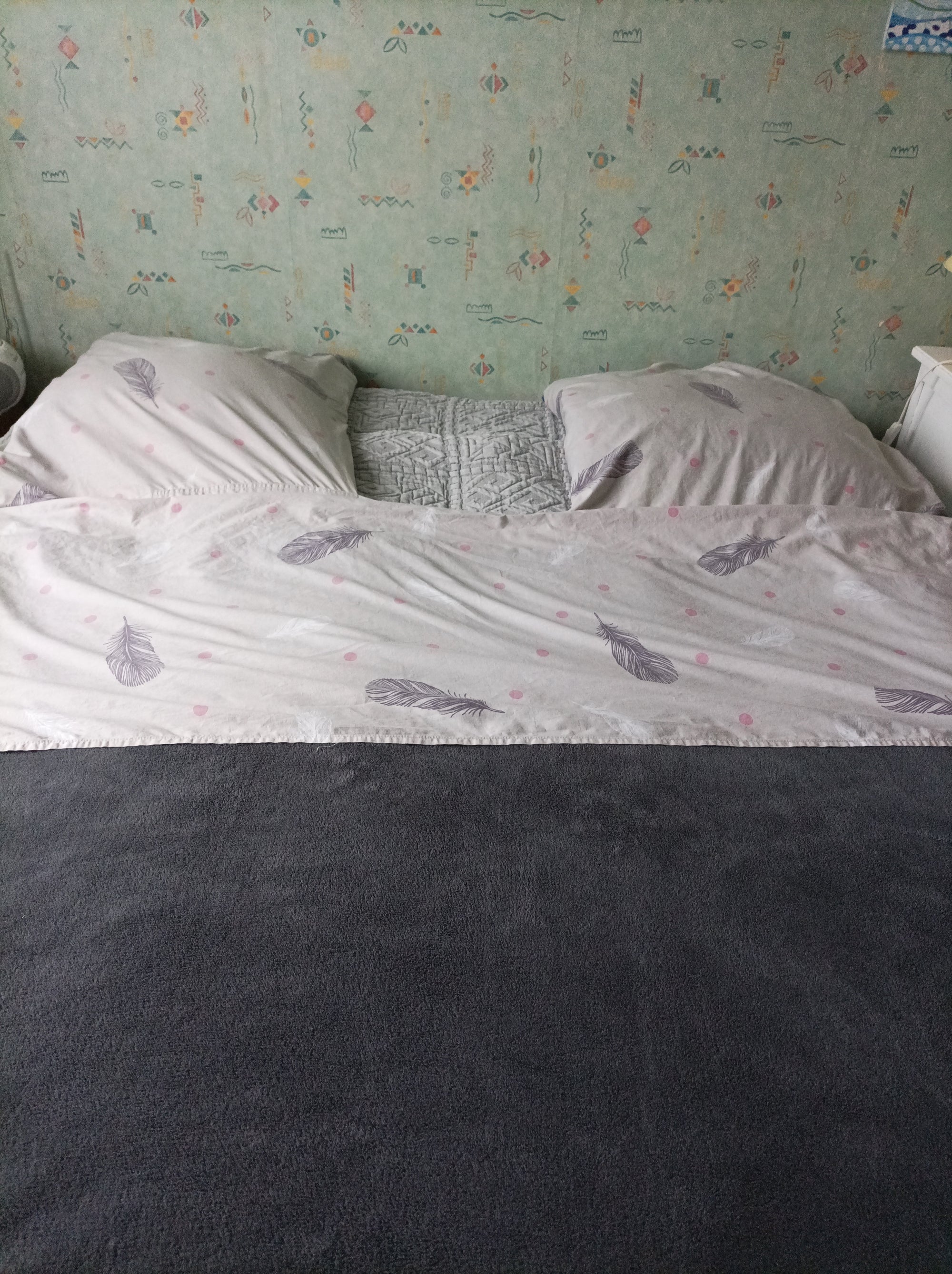 NIGHT BAG  2 personnes 166x 225 Motif Plumes, Rose et gris