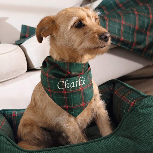 Bandana pour animaux Chic écossais