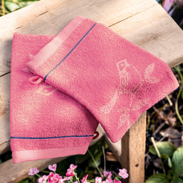 2 gants de toilette Joyeux pinsons