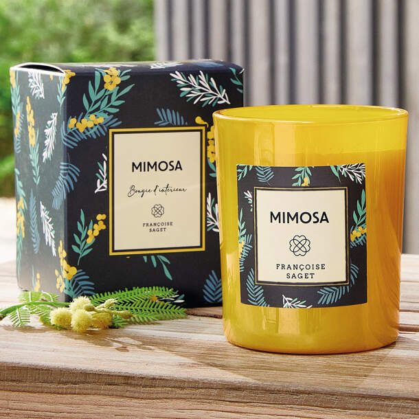 Bougie mimosa Offre spéciale
